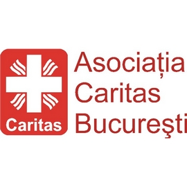 Analiza organizațională în București